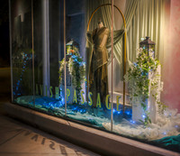 Lavish Passage