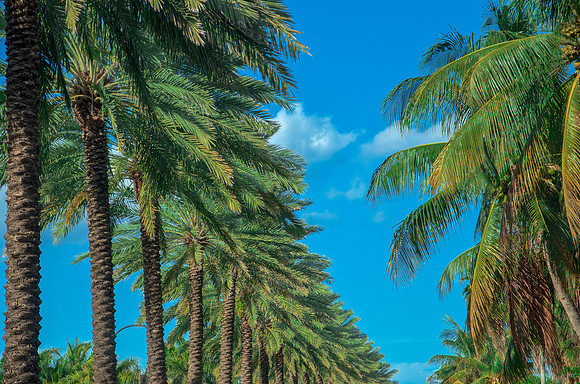 Welcome to MIAMI