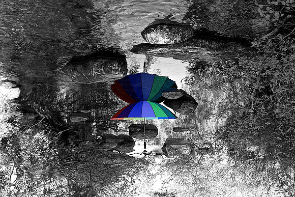 Over The Rainbow & Through the Woods