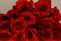 Stacks of Love