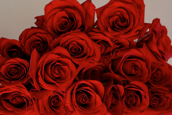 Stacks of Love