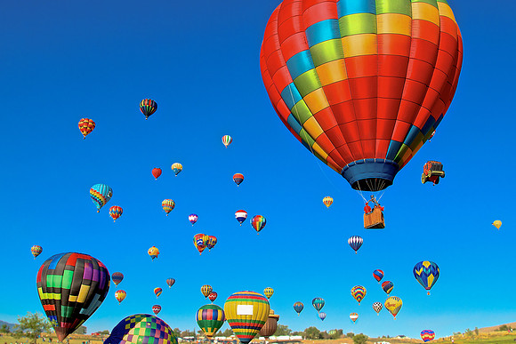 Flight