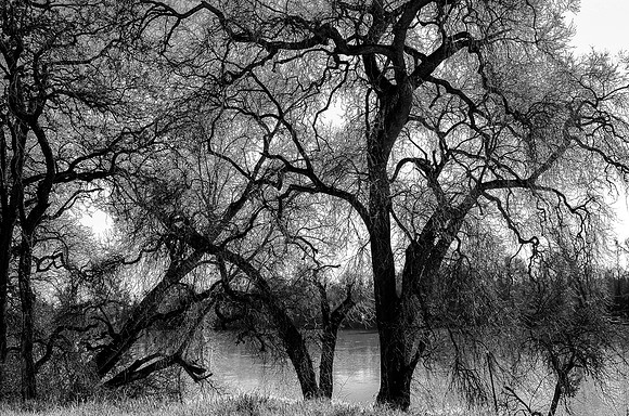 Colorless