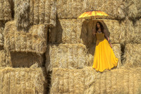 Yellow Monochromatic