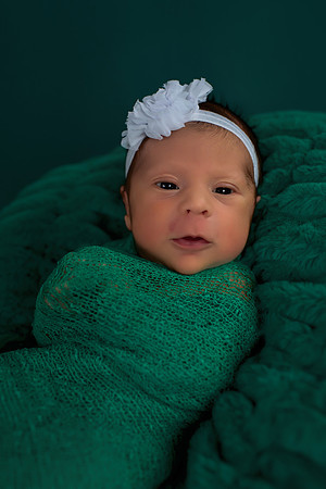 12 Days Old