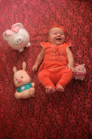 Year of the Pig 2019