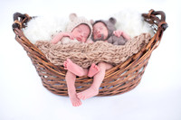 Newborn